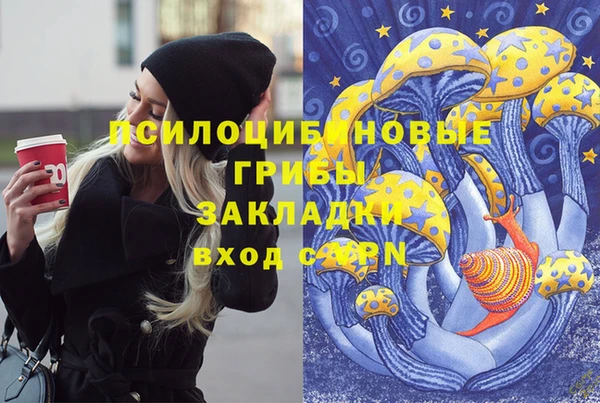 крисы Саяногорск