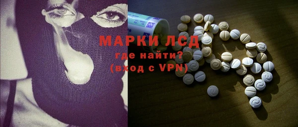 прущие грибы Сатка